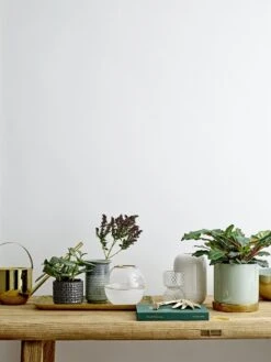 Bloomingville Paula Bord Bruin - Set Van 6 Stuks -Bestekwinkel bloomingville paula bord bruin set van 6 stuks 7