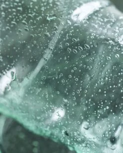 House Doctor Rain Glazen Groen/blauw Set Van 6 Stuks 10,5cm - 262681015 -Bestekwinkel house doctor rain glazen groen blauw set van 6 stu 6