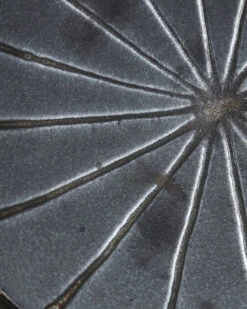 House Doctor Suns Borden Donkerbruin Set Van 6 Stuks - 206260082 -Bestekwinkel house doctor suns borden donkerbruin set van 6 stu 2